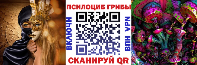 купить закладку  MEGA зеркало  Галлюциногенные грибы GOLDEN TEACHER  Енисейск 